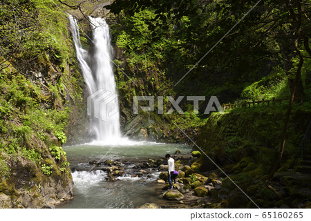 Waterfall of Gotazi (Fukui City, Fukui Prefecture) Waterfall of Gotazi (Fukui City, Fukui Prefecture) 65160265