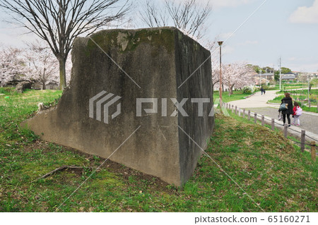 Kadanera Park where dandelions bloom Kadanera Park where dandelions bloom 65160271