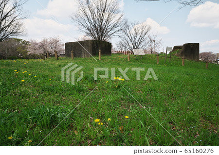 蒲公英盛開的Kadanera公園 65160276