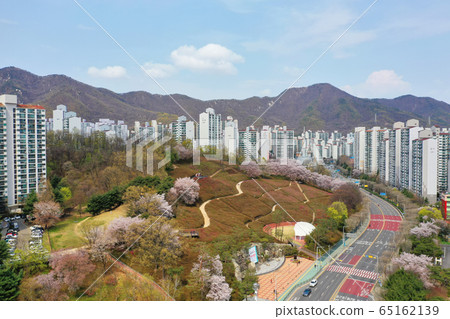 杜鵑花園 杜鵑花園 65162139