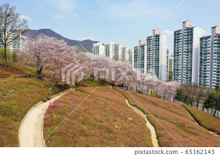 杜鵑花園 杜鵑花園 65162143