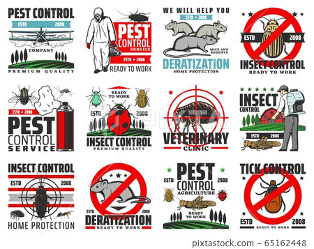 Insects pest control, deratization, extermination Insects pest control, deratization, extermination 65162448