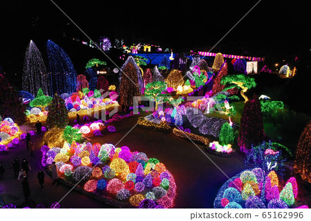 Starlight Garden Starlight Garden 65162996