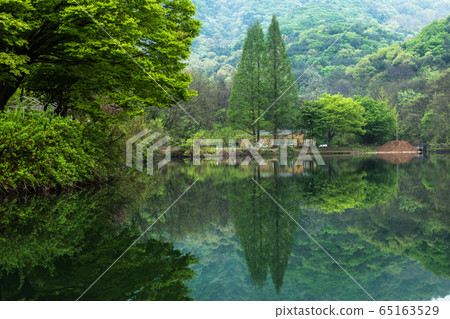 Reservoir Spring Reservoir Spring 65163529
