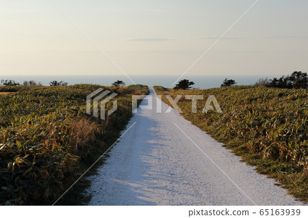 北海道稚內大豆山白路 65163939