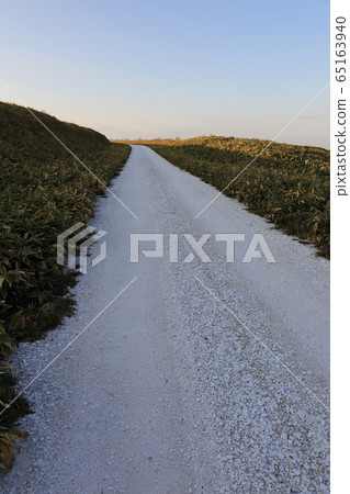 Hokkaido Wakkanai Soya Hills White Road 65163940