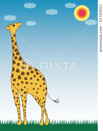 Giraffe in the meadow against the blue sky Giraffe in the meadow against the blue sky 65164022