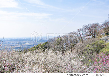 Mt. Tsukuba Bairin 65164282