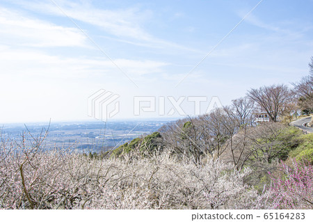 Mt. Tsukuba Bairin 65164283