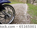 自行車遊覽_櫻花 65165001