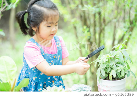 A child playing in the garden 65165389