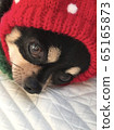 My favorite hat 65165873