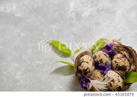 easter composition.eggs in the nest and green leaves on a gray 65165879