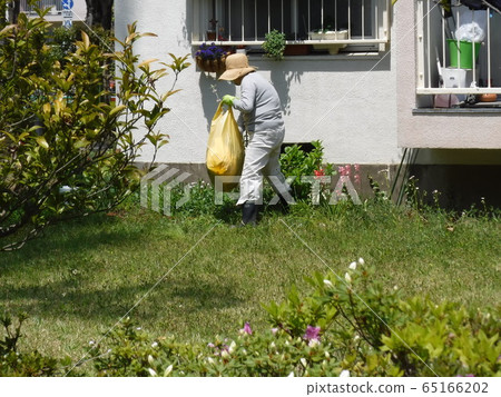 Garden gardening 65166202