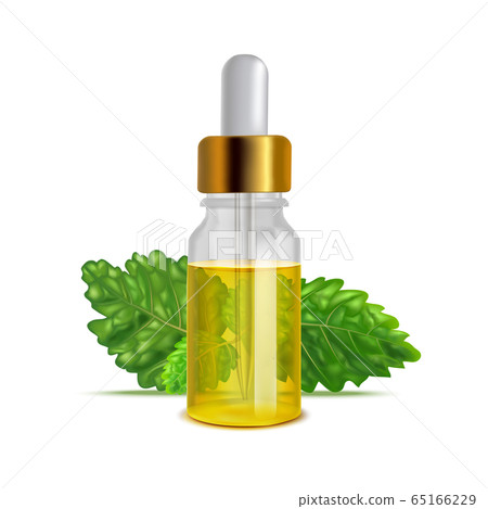Isolated Patchouli Oil Bottle with Leaves in Realistic Style Isolated Patchouli Oil Bottle with Leaves in Realistic Style 65166229