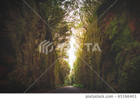 Mirador Pico del Ingles path in Anaga rural park 65166401