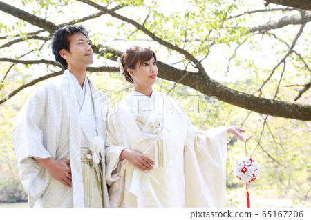 和服照片婚禮白色純 和服照片婚禮白色純 65167206