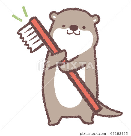 牙刷水獺 65168535