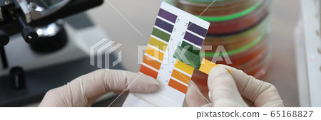 Hands holding litmus test paper for soil analysis 65168827