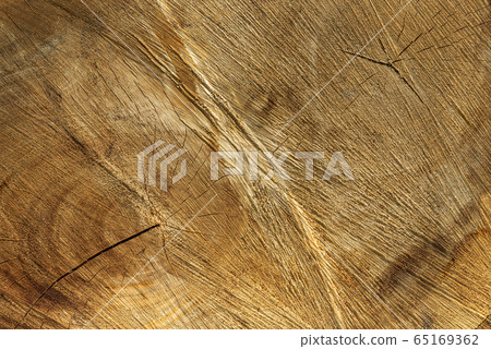 Log surface structure. Stumps and logs.  65169362