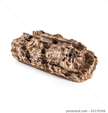 Mangrove root to the aquarium isolated on white 65170569