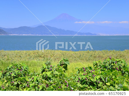 美穗海岸88086的風景 美穗海岸88086的風景 65170925