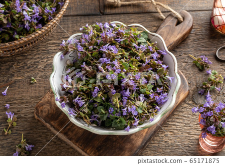 Fresh ground-ivy flowers in a bowl on a table Fresh ground-ivy flowers in a bowl on a table 65171875