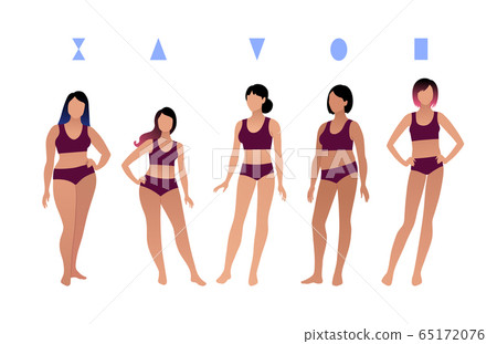 Female body types Royalty Free Vector Image - VectorStock