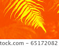 Natural fern pattern. Tropical fern leaf on yellow and red background.  65172082
