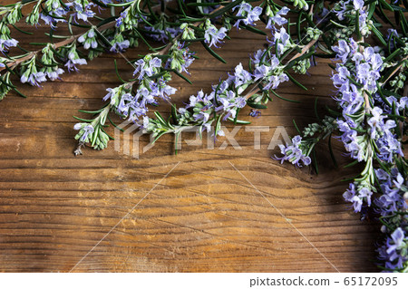 Rosemary plant in blossom on a table Rosemary plant in blossom on a table 65172095