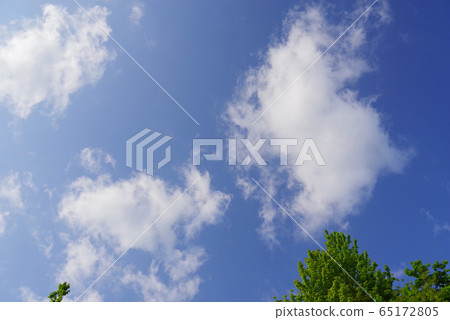 blue sky and green blue sky and green 65172805