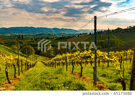 View from famous wine street in south styria, 65173080