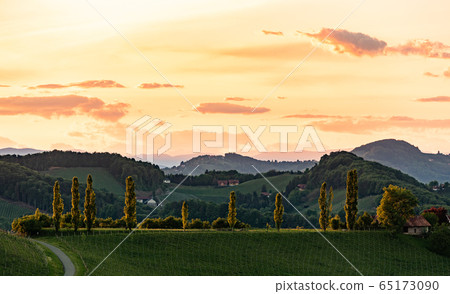 South styria vineyards landscape, near Gamlitz, South styria vineyards landscape, near Gamlitz, 65173090