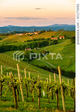South styria vineyards landscape, near Gamlitz, 65173092