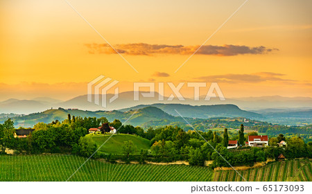 South styria vineyards landscape, near Gamlitz, South styria vineyards landscape, near Gamlitz, 65173093