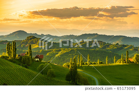 South styria vineyards landscape, near Gamlitz, South styria vineyards landscape, near Gamlitz, 65173095