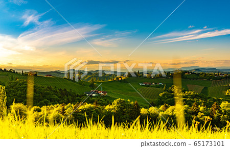 South styria vineyards landscape, near Gamlitz, 65173101