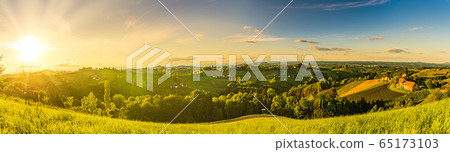 Panorama of vineyards hills in south Styria, Panorama of vineyards hills in south Styria, 65173103