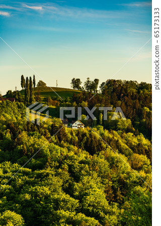 South styria vineyards landscape, near Gamlitz, 65173133
