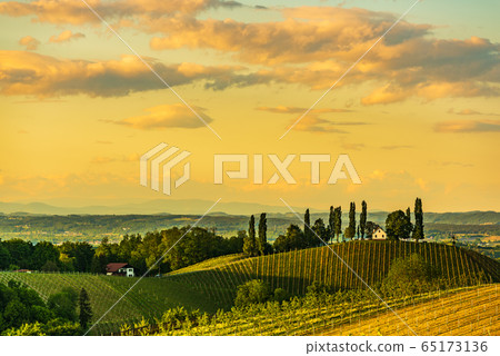 South styria vineyards landscape, near Gamlitz, South styria vineyards landscape, near Gamlitz, 65173136