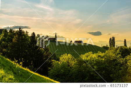 South styria vineyards landscape, near Gamlitz, 65173137