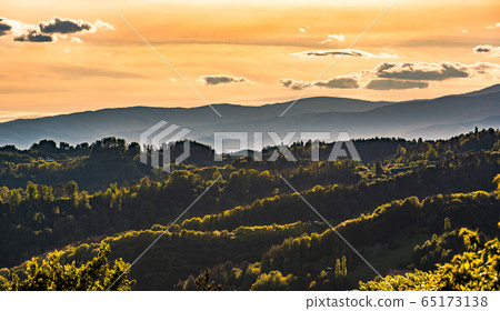 South styria vineyards landscape, near Gamlitz, South styria vineyards landscape, near Gamlitz, 65173138