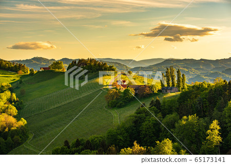 South styria vineyards landscape, near Gamlitz, South styria vineyards landscape, near Gamlitz, 65173141