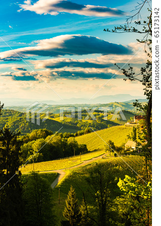 South styria vineyards landscape, near Gamlitz, 65173142