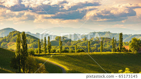 South styria vineyards landscape, near Gamlitz, South styria vineyards landscape, near Gamlitz, 65173145