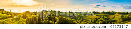 Panorama of vineyards hills in south Styria, 65173147