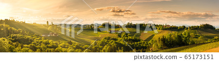 Panorama of vineyards hills in south Styria, 65173151