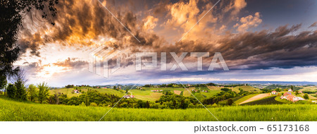 Panorama of vineyards hills in south Styria, 65173168