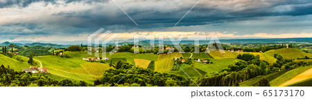 Panorama of vineyards hills in south Styria, Panorama of vineyards hills in south Styria, 65173170