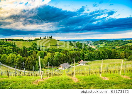 South styria vineyards landscape, near Gamlitz, 65173175